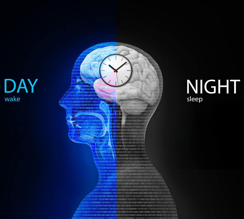 alt=how to reset your circadian rhythm